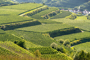 Image showing landscape scenery in Breisgau Germany