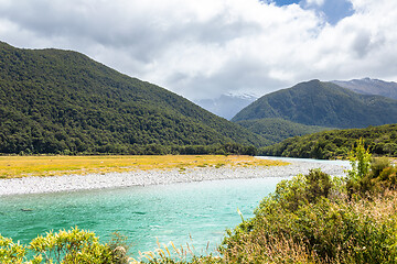 Image showing Haast River Landsborough Valley New Zealand