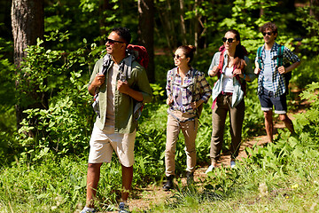 Image showing group of friends with backpacks hiking in forest