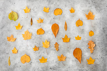 Image showing dry fallen autumn leaves on gray stone background