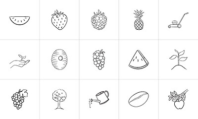 Image showing Agriculture food hand drawn sketch icon set.
