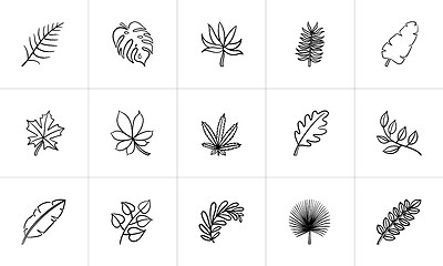 Image showing Leaves of plants and trees sketch icon set.
