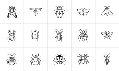 Image showing Insects sketch icon set.