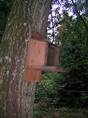 Image showing Birdbox