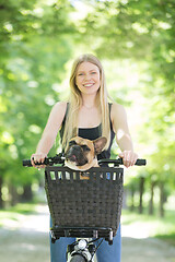 Image showing French bulldog dog enjoying riding in bycicle basket in city park