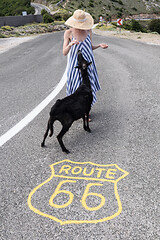 Image showing Young attractive woman wearing striped summer dress and straw hat standing on an endless straight empty road in the middle of nowhere on the Route 66 road and feeding black sheep.