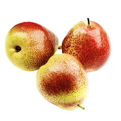 Image showing Ripe Forelle Pears 