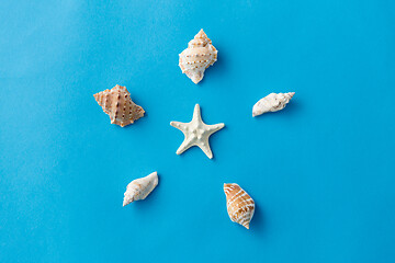 Image showing different sea shells on blue background