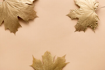 Image showing golden maple leaves on beige background