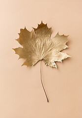 Image showing golden maple leaf on beige background