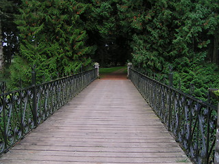 Image showing Bridge Into Forest