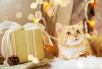 Image showing red tabby cat on sofa with christmas gift at home