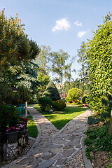 Image showing colorful spring garden