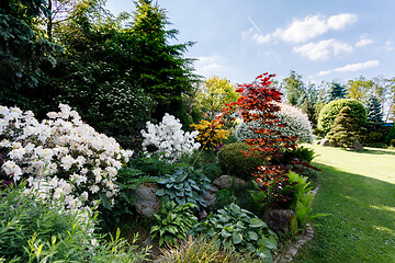 Image showing colorful spring garden