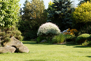 Image showing colorful spring garden