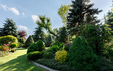 Image showing colorful spring garden