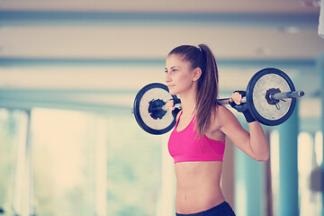 Image showing young woman in fitness gym lifting  weights