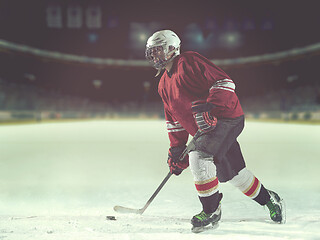 Image showing ice hockey player in action