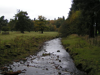 Image showing Small River