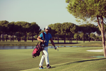 Image showing golfer  walking and carrying bag