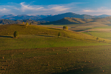 Image showing Beauty summer evening in the mountains