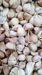 Image showing Close-up garlic bulbs