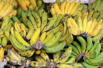 Image showing Green and yellow bananas 