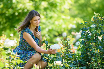 Image showing Girl in green garden admires white rose on bush