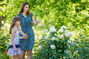 Image showing Mom and daughter walk in the garden with roses