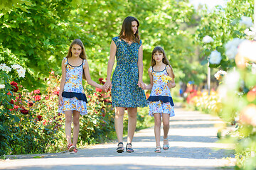 Image showing young woman walks down the path in the flowering garden by the hand with her two daughters