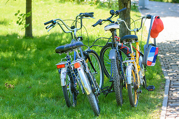 Image showing four bikes of different sizes standing on the lawn in the park