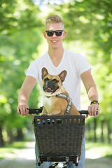 Image showing French bulldog dog enjoying riding in bycicle basket in city park