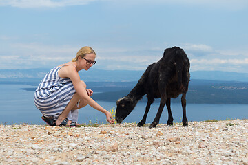 Image showing Young attractive female traveler wearing striped summer dress, squatting, feeding and petting black sheep while traveling Adriatic coast of Croatia