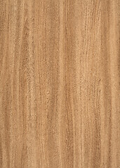 Image showing wood grain surface