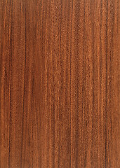 Image showing wood grain surface