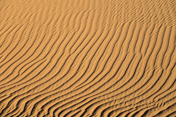 Image showing Background of sand dunes