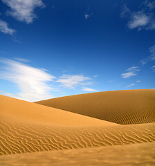 Image showing landscape in evening desert