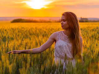 Image showing Girl touch ears of wheat at sunset