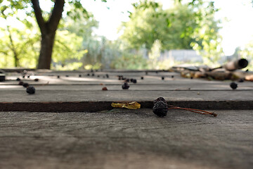 Image showing Wooden table and old cherries