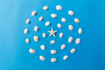 Image showing different sea shells on blue background