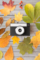 Image showing film camera and autumn leaves on wooden boards