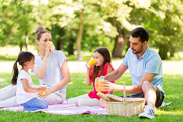 Image showing family drinking juice on picnic at summer park