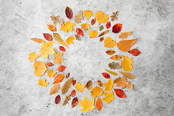 Image showing round frame of different dry fallen autumn leaves