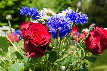 Image showing Summer flowers close up