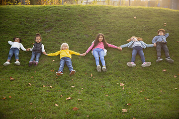 Image showing Interracial group of kids, girls and boys playing together at the park in summer day