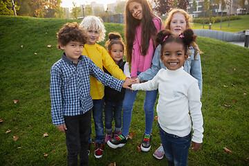 Image showing Interracial group of kids, girls and boys playing together at the park in summer day