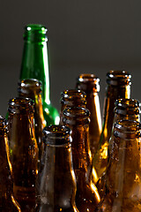 Image showing Neon colored beer bottles. Close up on bright studio background