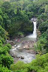 Image showing Tegalalang rice terraces in Ubud, Bali