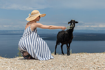 Image showing Young attractive female traveler wearing striped summer dress and straw hat squatting, feeding and petting black sheep while traveling Adriatic coast of Croatia