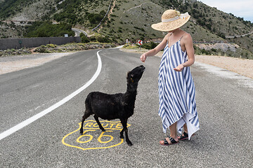 Image showing Young attractive woman wearing striped summer dress and straw hat standing on an endless straight empty road in the middle of nowhere on the Route 66 road and feeding black sheep.